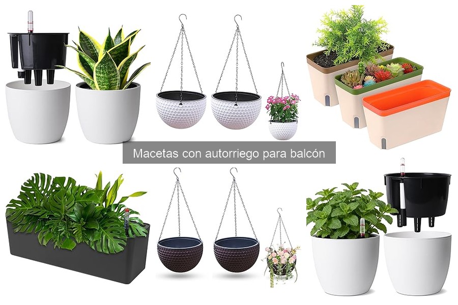 ¿Qué son las macetas con autorriego? Beneficios y Funcionamiento