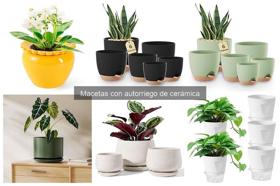 ¿Qué son las macetas con autorriego de cerámica?