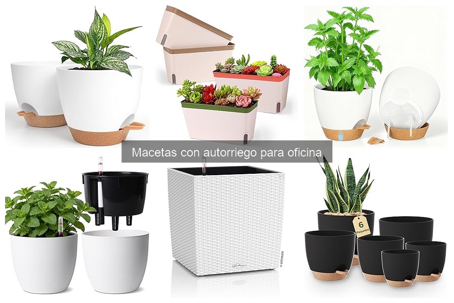 ¿Qué son las macetas con autorriego? Descubre sus beneficios