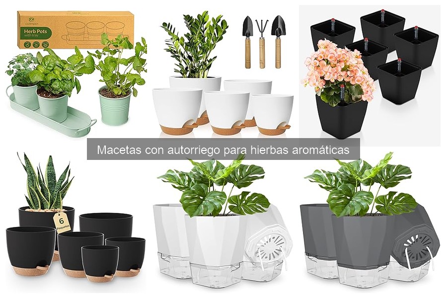 ¿Qué son las macetas con autorriego para hierbas aromáticas?