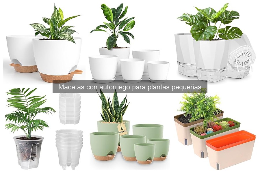 ¿Qué son las macetas con autorriego? Todo lo que necesitas saber