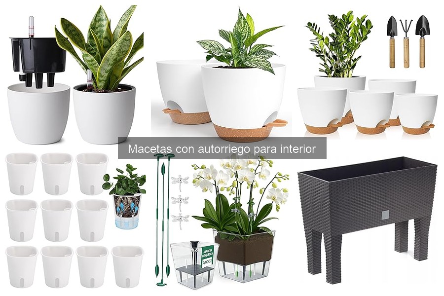 ¿Qué son las macetas con autorriego? Ventajas y funcionamiento