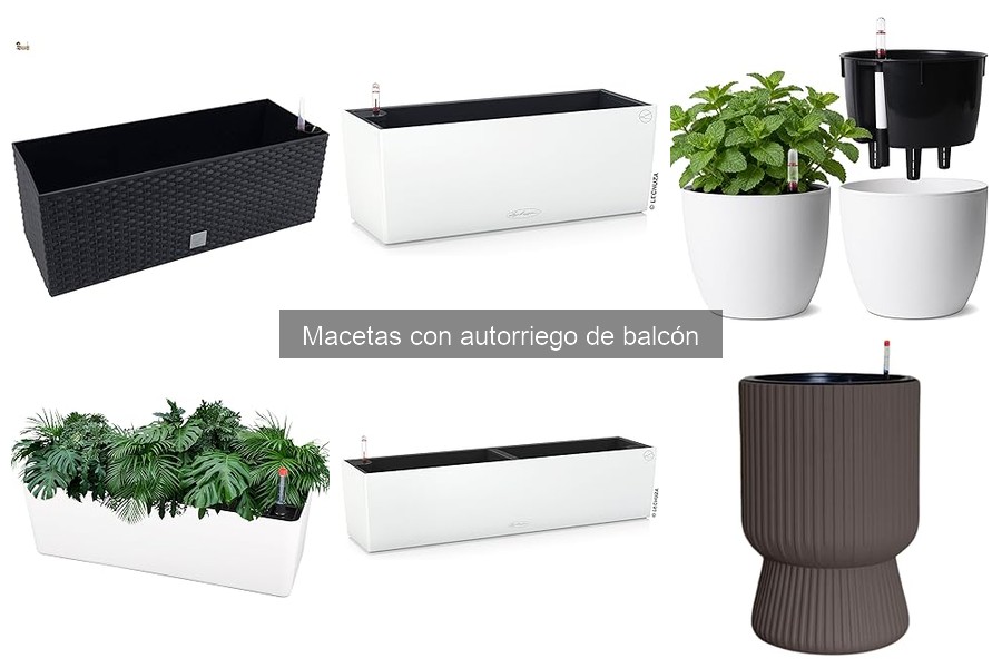 Qué son las macetas con autorriego y sus beneficios