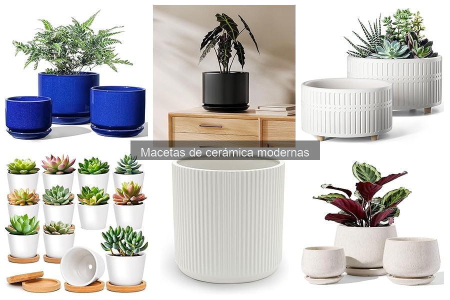 Qué son las macetas de cerámica modernas: guía completa