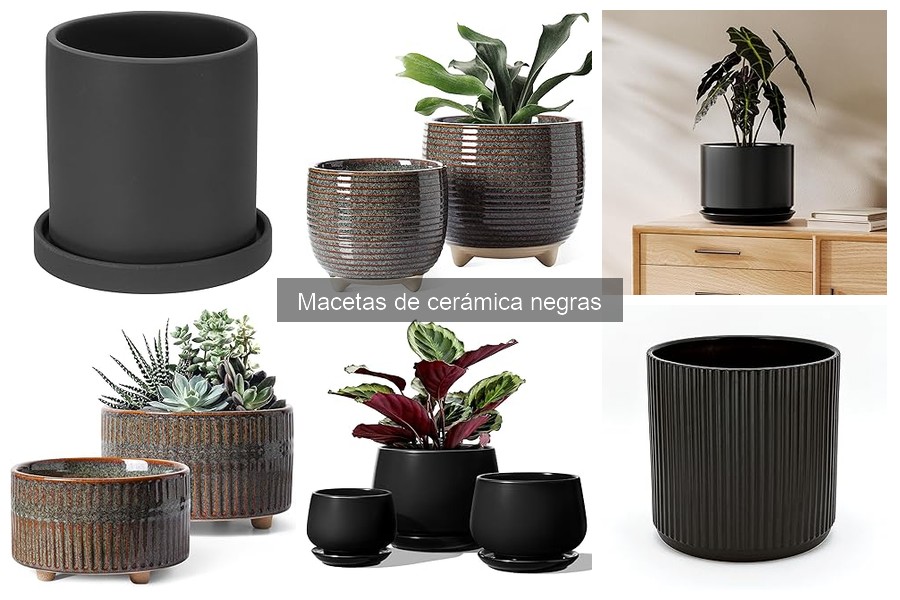 ¿Qué son las macetas de cerámica negras? Características y usos