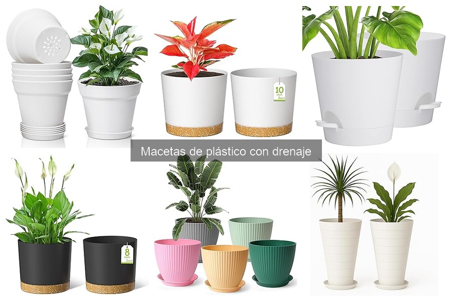 ¿Qué Son las Macetas de Plástico con Drenaje?