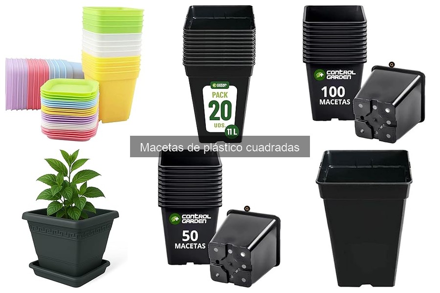 ¿Qué son las macetas de plástico cuadradas? Características y usos