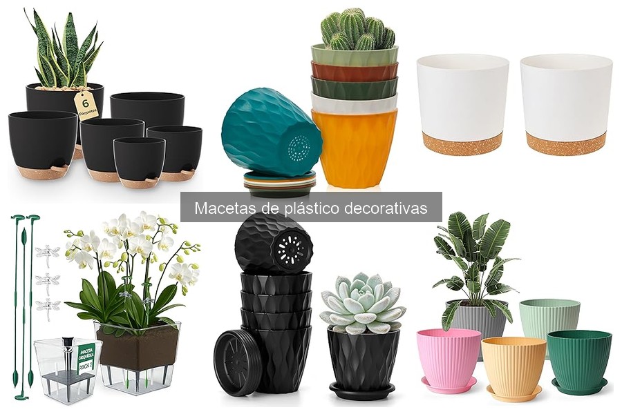 ¿Qué son las macetas de plástico decorativas? Descúbrelas Aquí