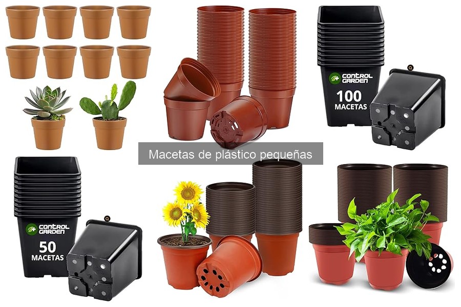 ¿Qué son las macetas de plástico pequeñas? Características y beneficios