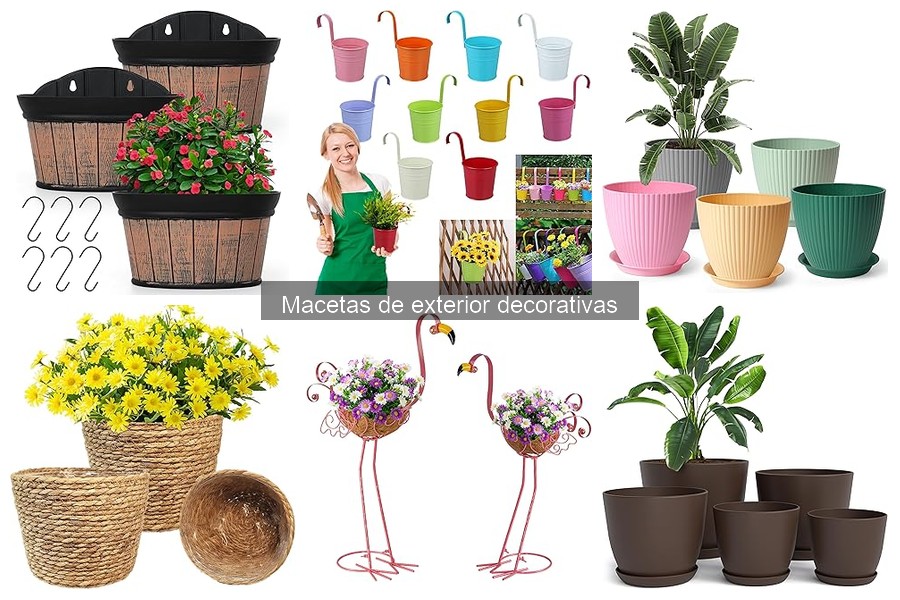 Qué son las macetas decorativas de exterior: guía esencial