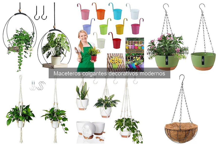 ¿Qué son los maceteros colgantes decorativos modernos?