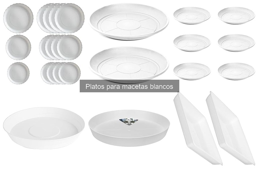 ¿Qué son los platos para macetas blancos? Funciones y usos