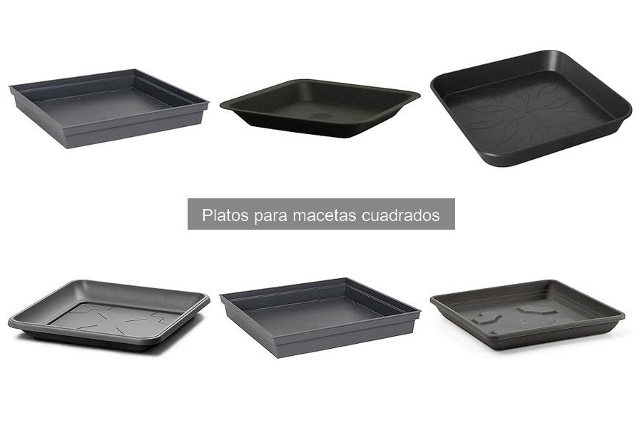 ¿Qué son los platos para macetas cuadrados? Características y Usos