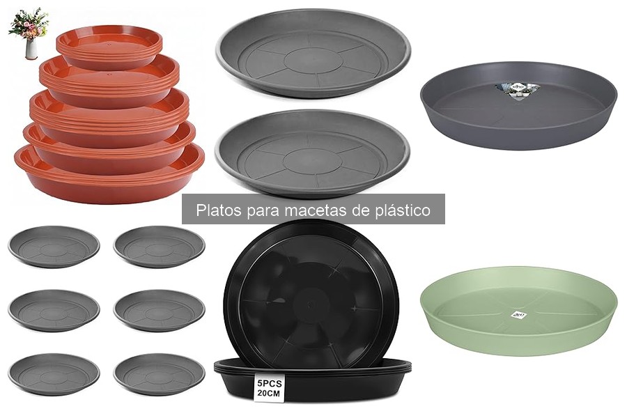 ¿Qué son los platos para macetas de plástico? Guía Rápida