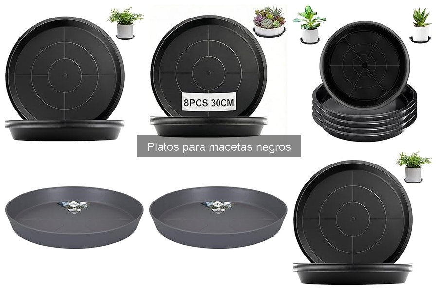 ¿Qué son los platos para macetas negros? Beneficios y funciones