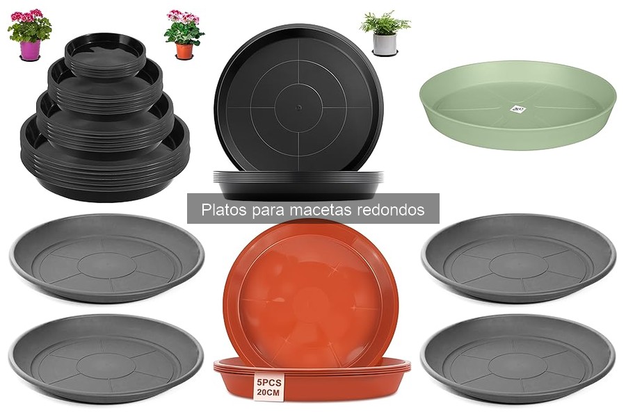 Qué son los platos para macetas redondos y su función
