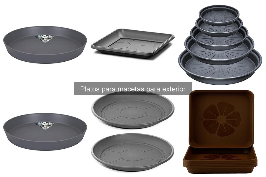 ¿Qué son los platos para macetas y su función en jardinería?