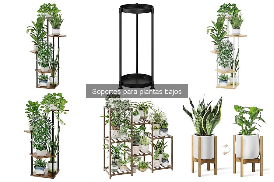 ¿Qué son los soportes para plantas bajos? Guía completa
