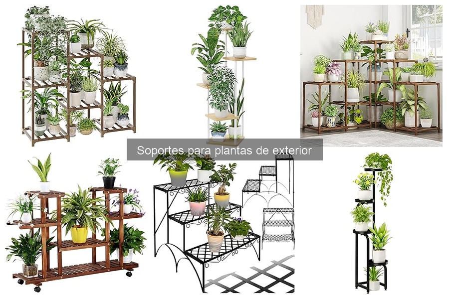 ¿Qué son los soportes para plantas de exterior? Guía práctica