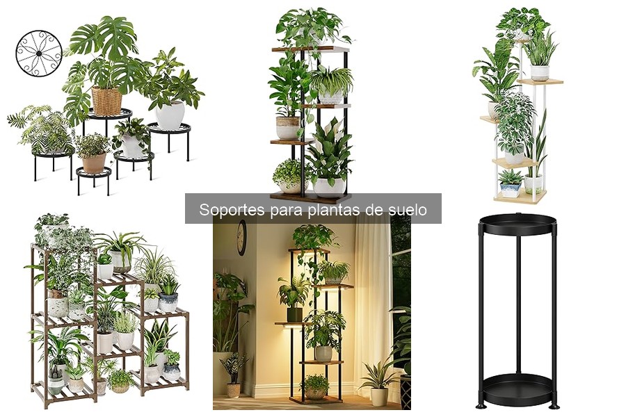 ¿Qué son los soportes para plantas de suelo? Definición y características