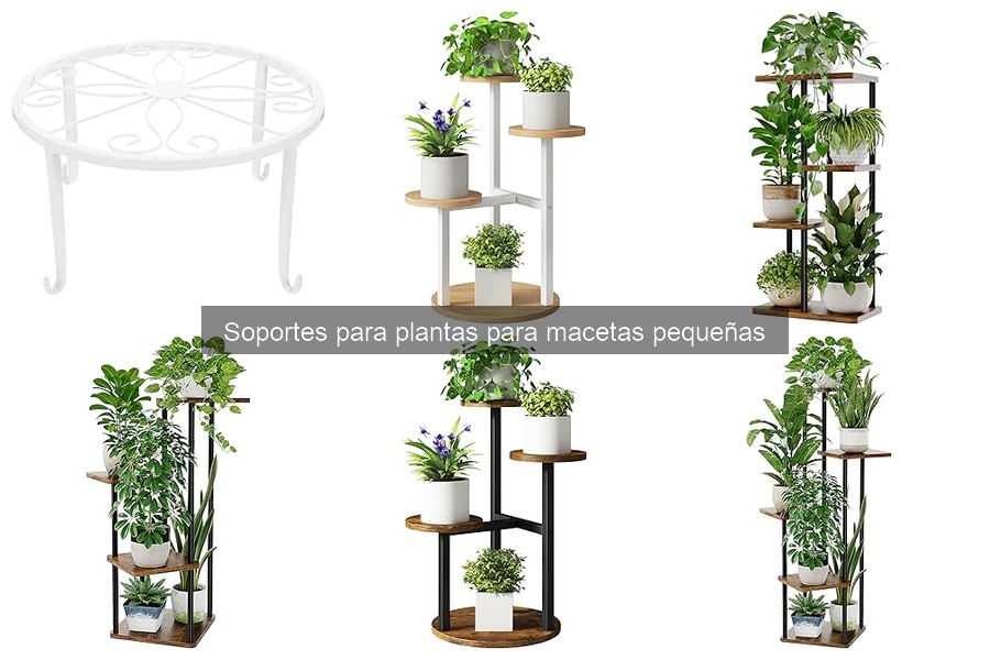 ¿Qué son los soportes para plantas en macetas pequeñas?
