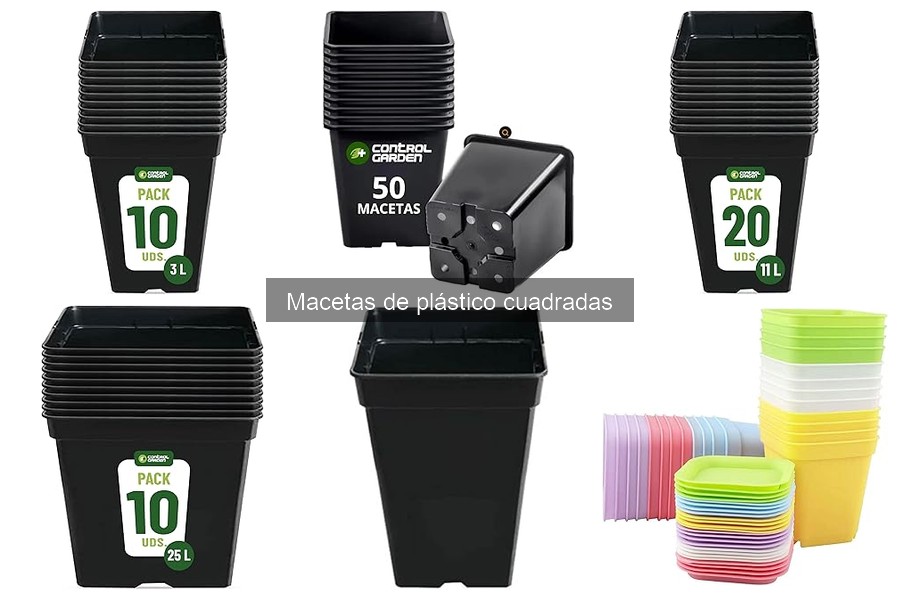 ¿Qué tamaño de maceta cuadrada necesito para mis plantas?