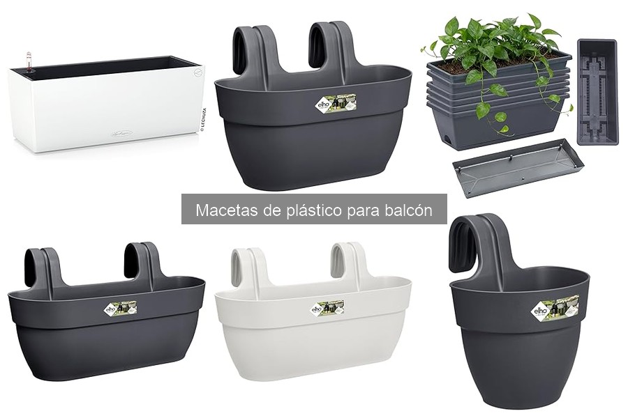 ¿Qué tamaño de maceta de plástico elegir para tus plantas?
