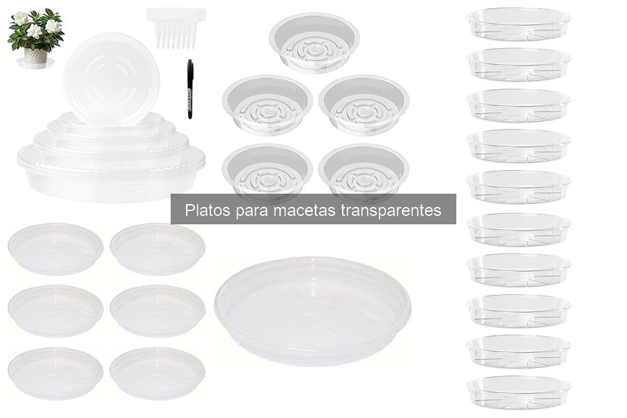 ¿Qué tamaño de plato necesito para mi maceta?