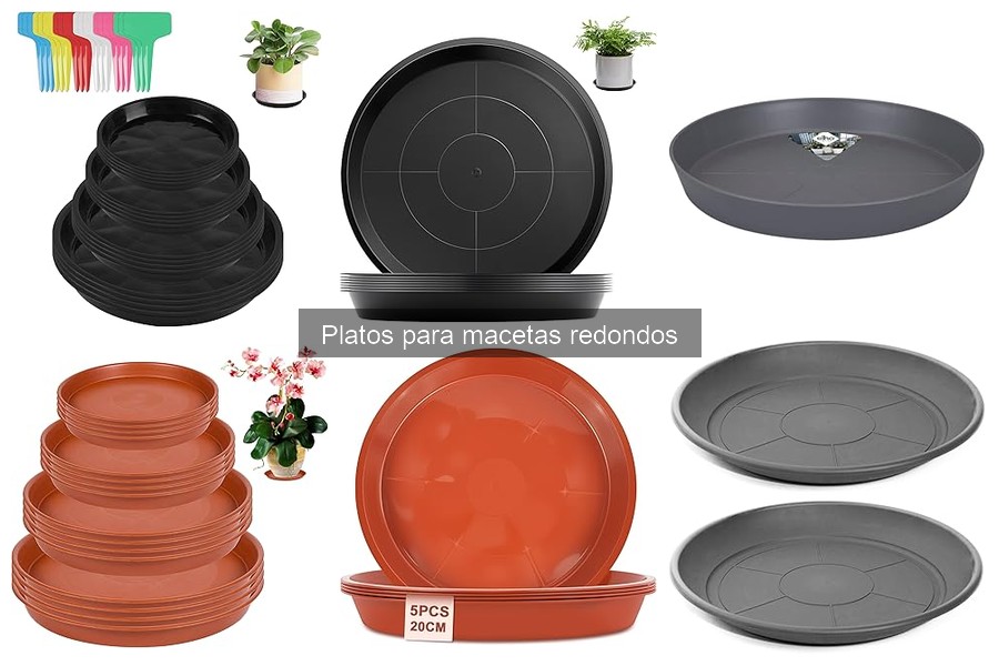 ¿Qué tamaño de plato para una maceta redonda de 20 cm?