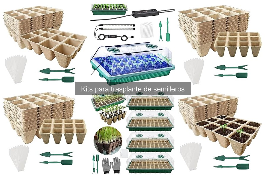 Recetas de tierra ideales para kits de trasplante