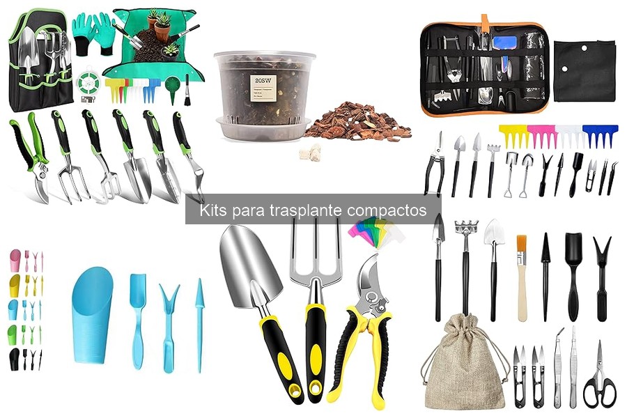 Resuelve problemas al trasplantar con kits compactos