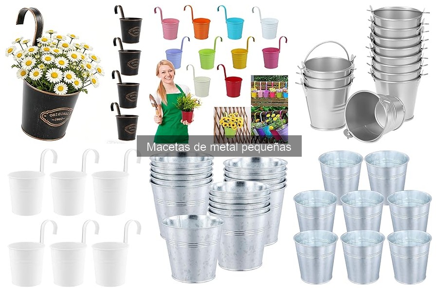 Seguridad de las Macetas de Metal Pequeñas para Plantas Comestibles