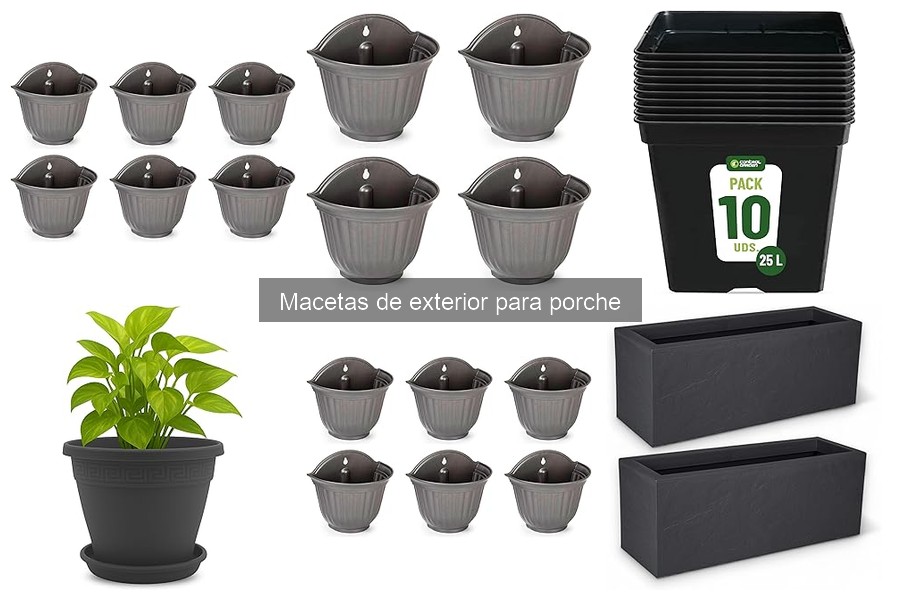 Soluciones a Problemas Comunes de Macetas de Exterior