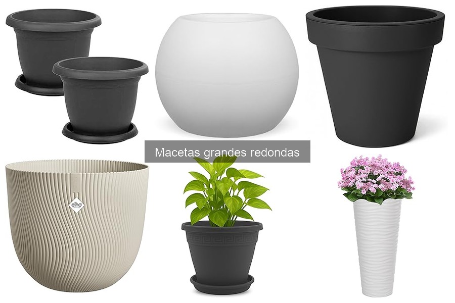 Soluciones para mal drenaje en macetas grandes redondas