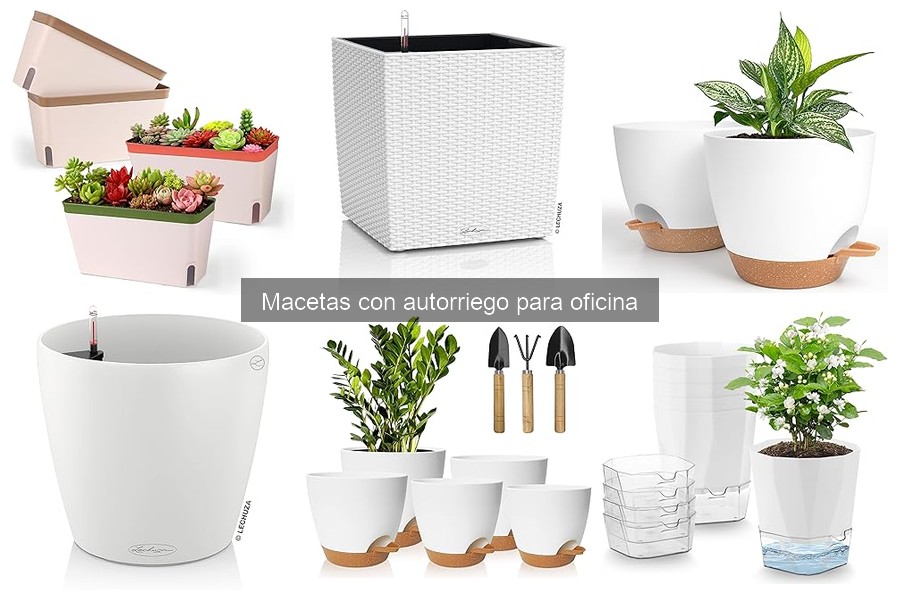 ¿Son adecuadas las macetas con autorriego para todas las plantas?