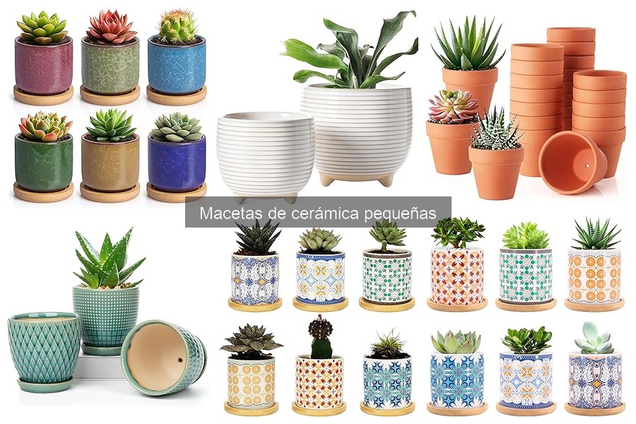 ¿Son adecuadas las macetas de cerámica pequeñas para todas las plantas?