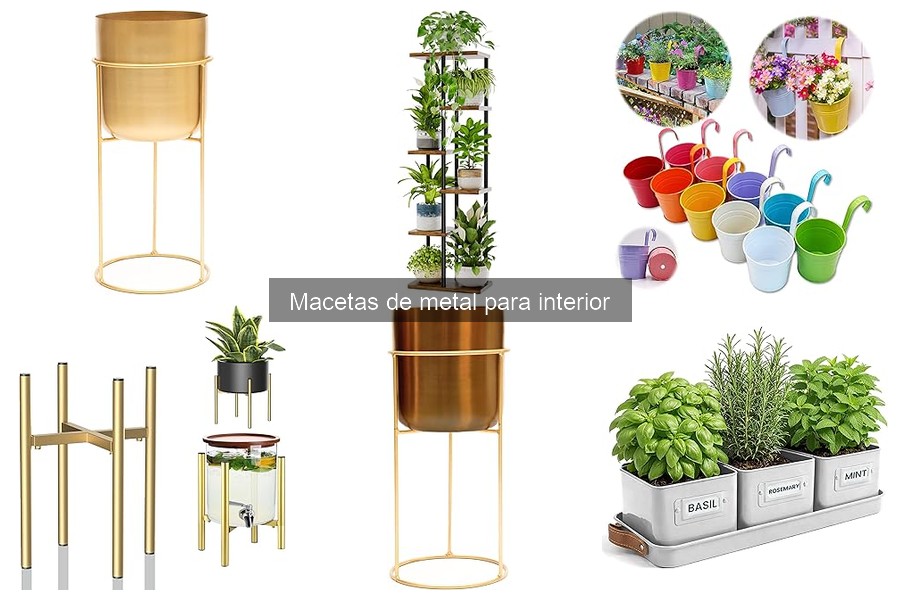 ¿Son adecuadas las macetas de metal para todas las plantas?