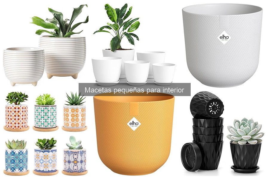 ¿Son adecuadas las macetas pequeñas para exteriores?