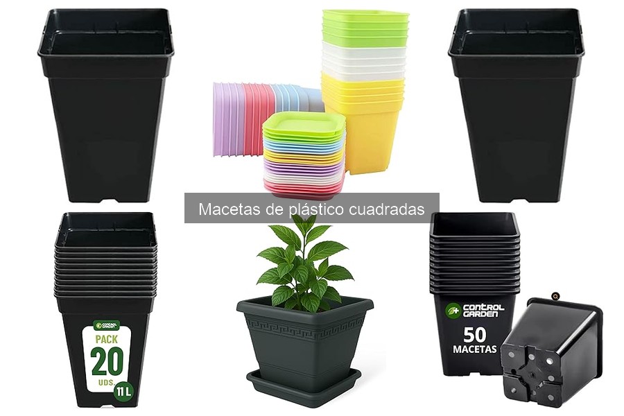 ¿Son biodegradables las macetas de plástico cuadradas?