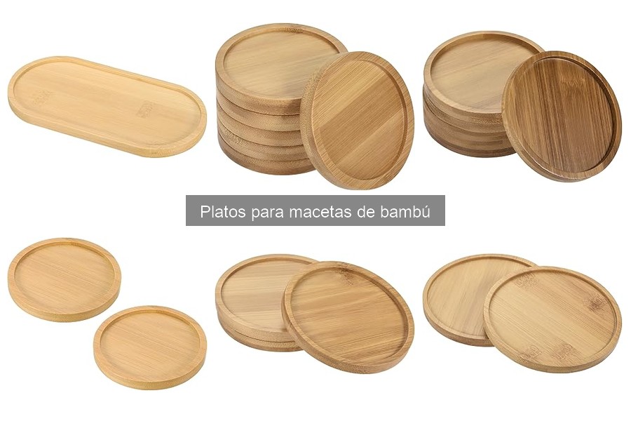¿Son ecológicos los platos para macetas de bambú?
