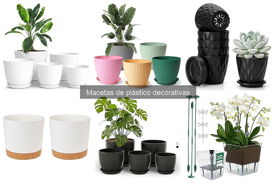 ** ¿Son las macetas de plástico reciclables? Impacto y soluciones