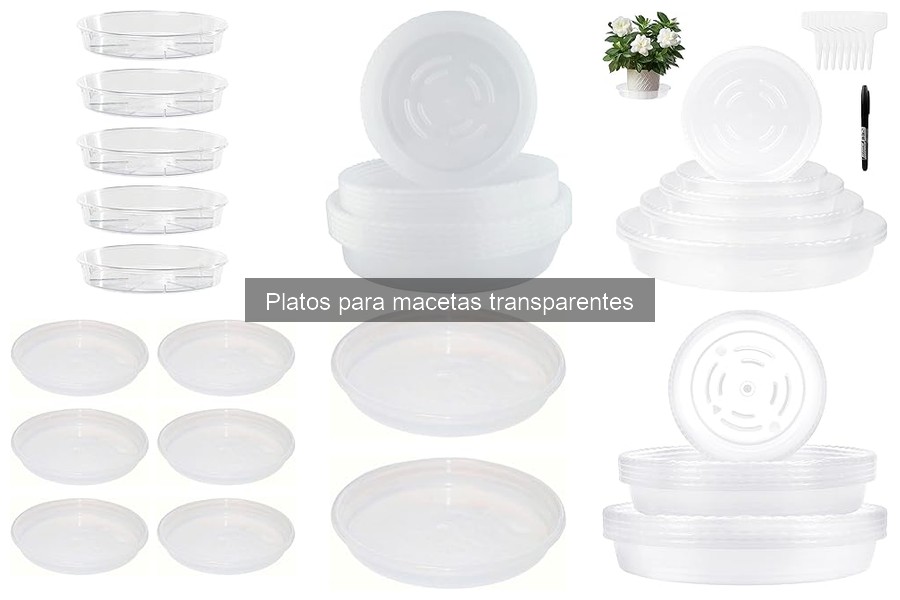 ¿Son necesarios los platos para macetas? Beneficios y desventajas