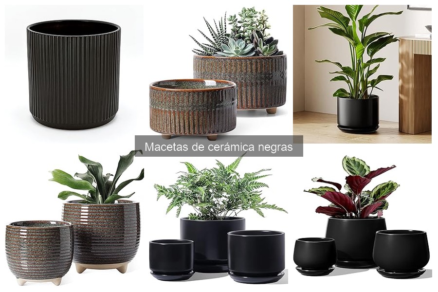 ¿Son Resistente las Macetas de Cerámica Negras a la Intemperie?
