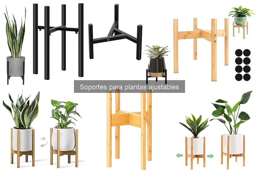 Soportes para Plantas Ajustables: Definición y Beneficios
