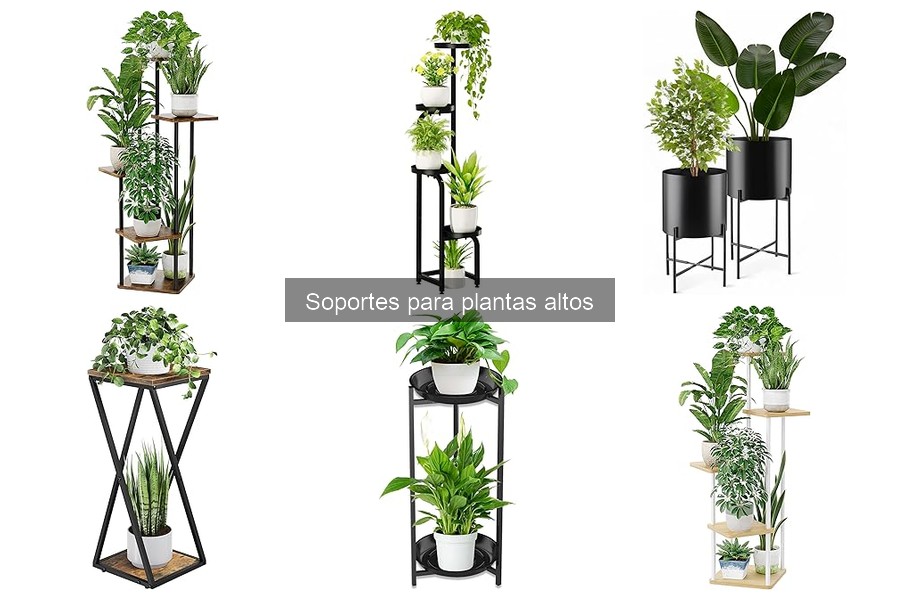 Soportes para Plantas Altos: Mejora Tu Decoración con Estilo