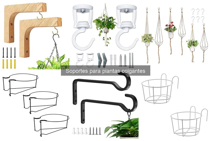 Soportes para plantas colgantes: definición y funciones