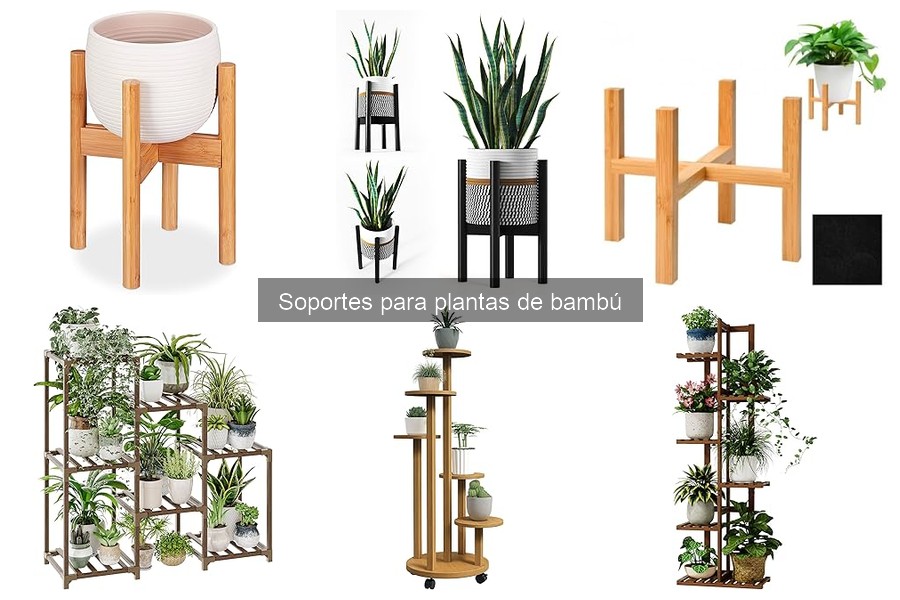 Soportes para Plantas de Bambú: Funciones y Beneficios