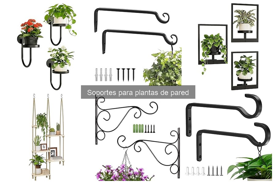 Soportes para plantas de pared: ¿qué son y cómo se usan?