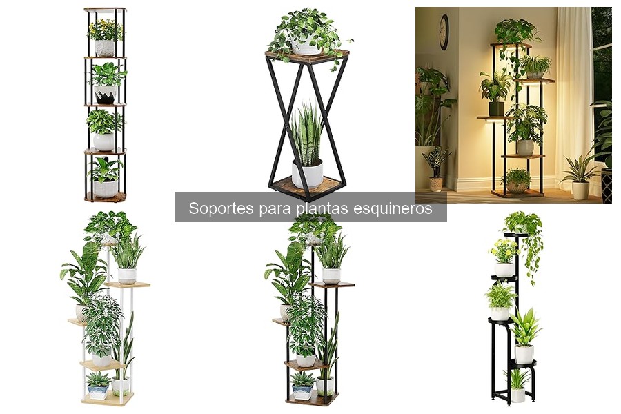 Soportes para Plantas Esquineros: Funciones y Ventajas