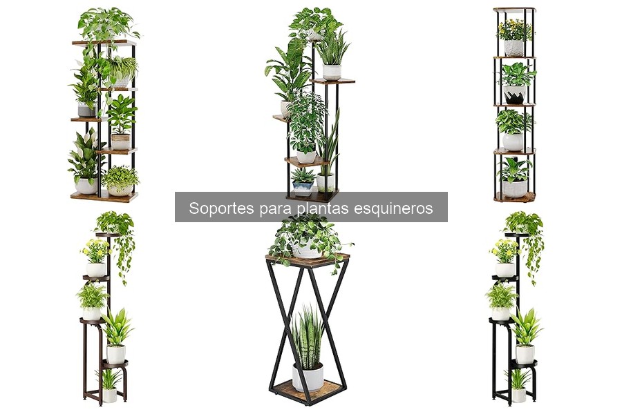 Soportes para plantas esquineros: ¿son realmente efectivos?